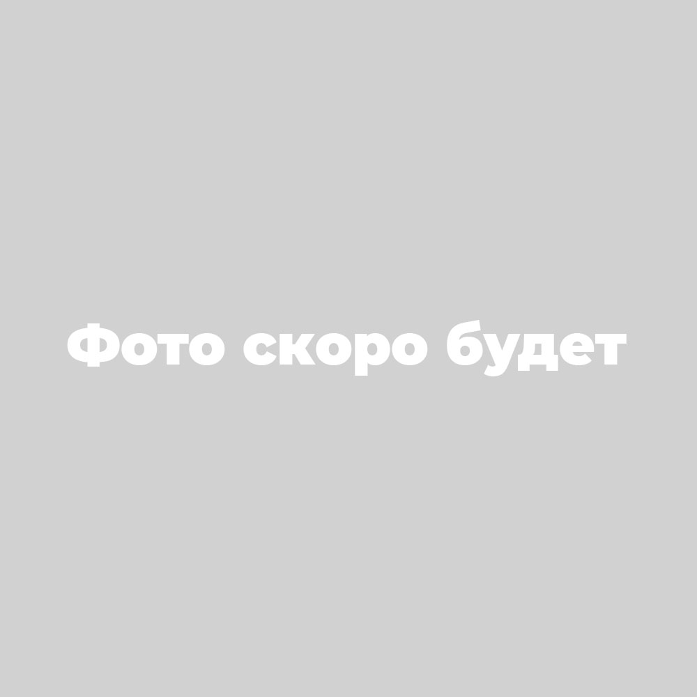 Плитка тротуарная Брусчатка 60 200×100 мм гранит черный (без фаски)
